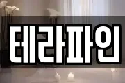 테라파인