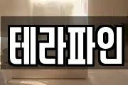 테라파인