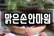 맑은손안마원