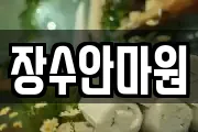 장수안마원