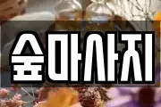 숲마사지