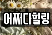 어쩌다힐링