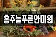 홍주늘푸른안마원