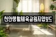 천안생활체육공원지압보드