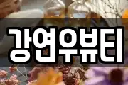 강연우뷰티