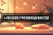 누수탐지아파트주택천장화장실보험처리전문