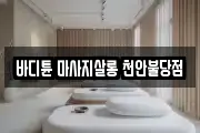 충청남도 천안시 마사지, 지압등 업체정보