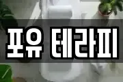 포유 테라피