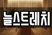 늘스트레치