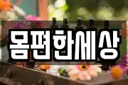 몸편한세상