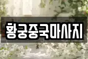 황궁중국마사지