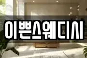 이쁜스웨디시