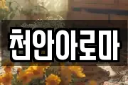 천안아로마