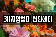 3H지압침대 천안센터