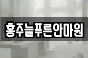 홍주늘푸른안마원