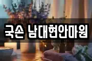 국손 남대현안마원