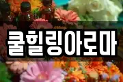 쿨힐링아로마