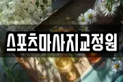 스포츠마사지교정원