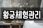 황궁체형관리