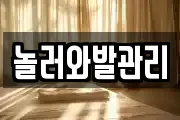 놀러와발관리