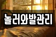 놀러와발관리
