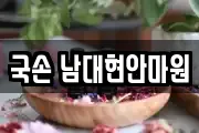 국손 남대현안마원