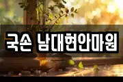 국손 남대현안마원