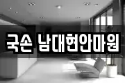 국손 남대현안마원