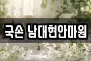 국손 남대현안마원