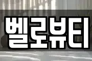 벨로뷰티