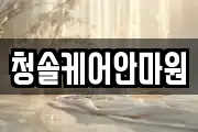 청솔케어안마원