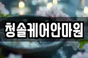 청솔케어안마원