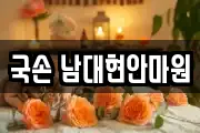국손 남대현안마원