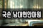 국손 남대현안마원