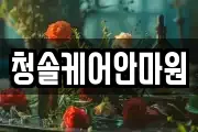 청솔케어안마원