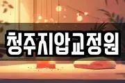 청주지압교정원