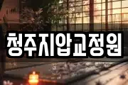 청주지압교정원