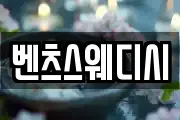 벤츠스웨디시
