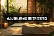 충청북도 청주시 상당구 문의면 마사지, 지압등 업체정보