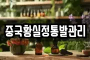 충청북도 청주시 상당구 문화동 마사지, 지압등 업체정보