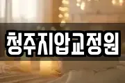 청주지압교정원