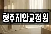 청주지압교정원