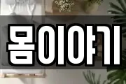 몸이야기