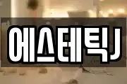 에스테틱J
