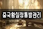 중국황실정통발관리