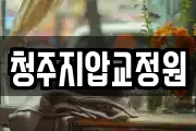 청주지압교정원