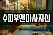 수피부앤마사지샵