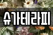 슈가테라피