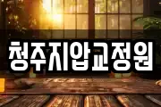 청주지압교정원