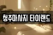 충청북도 청주시 서원구 남이면 마사지, 지압등 업체정보